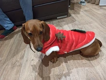 Christmas Dog Clothes Small Dogs Santa Costume for Pug Chihuahua Yorkshire Pet Cat Clothing