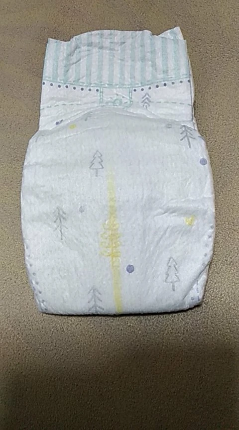 Teen Girl In Pampers