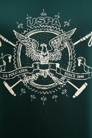 U.S. POLO ASSN. Обычная Толстовка - Цвет: Зеленый