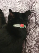 Necklace Bells Dog-Accessories Cat-Collar Anti-Loss Silicone New with Fluorescent Glowing