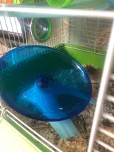 Hámster platillo volador ejercicio rueda de ardilla hámster ratón corriendo disco Juguetes Para rata jaula de hámster pequeño Animal Accesorios