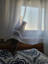 White Tulle Curtains Voile Sheer Bedroom Living-Room Japan-Style Customized Soft CITYINCITY