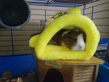 Cage Hamster Bed-House Hedgehog Animals-Supplies Guinea-Pig Snuggle Sack Chinchilla Fleece