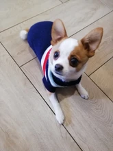 Jersey Pet-Clothing Christmas-Sweater Dogs Small Knitting Winter Warm for Coat Perro-30s1