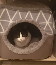 Cama para perros, gatos, cama blanda cama perrera casa cueva cama de saco para dormir Pad tienda mascotas invierno cálido y acogedor camas 2 tamaño L XL 2 colores