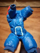 Coat Jacket Puppy Pet-Dog French Bulldog Small Dogs Waterproof Winter Super Cotton 