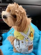 Jeans Clothing Jacket Coat Dog-Costume Puppy Dogs Small Denim Pet Medium for Chihuahua