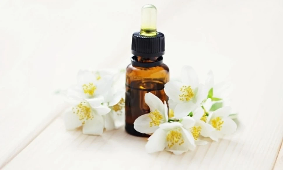 Абсолют Эфирное Масло Купить