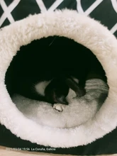 Cama para perros, gatos, cama blanda cama perrera casa cueva cama de saco para dormir Pad tienda mascotas invierno cálido y acogedor camas 2 tamaño L XL 2 colores