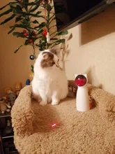 Juguetes interactivos para gatos, Láser LED para mascotas, modo manual divertido, electrónico, para todos los gatos, Laserlampje Kat