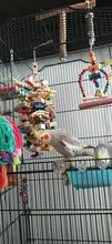 Toy Blocks Bird-Cage Bite-Toy Macaws Parrot Cockatoos Chewing Toy-Bird African Grey Large