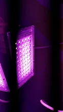 LED Grow Floodlight Seeding Plants-Tent Flower Phyto-Box Range-Lamp Light-Phytolamp Outdoor