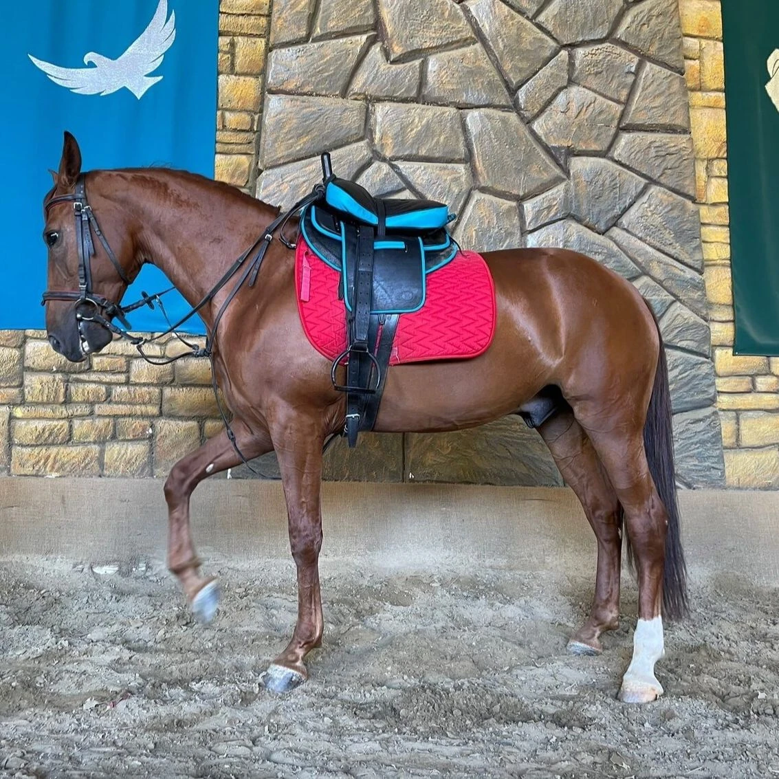 rijstwijn Monteur Condenseren Set Van Paard Zadel Truc Voor Trick Rijden|Zadels| - AliExpress