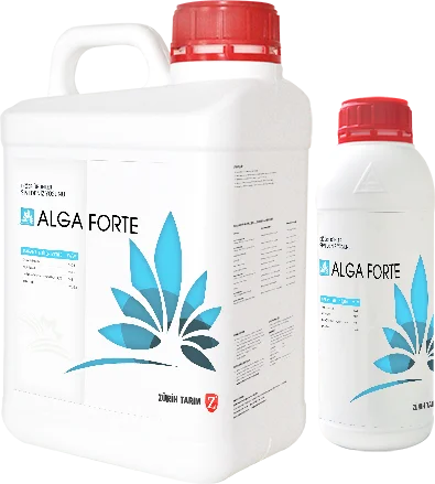 ALGA FORTE(SIVI denjing Z YOSUNU) 1 LT