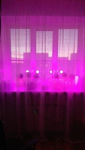 Grow-Light Lamps Timer Flowers Desktop-Clip LED Phyto Full-Spectrum For Plants DC5V USB