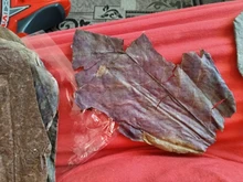 Betta Fish Shrimp Aquarium Almond-Leaves Natural Indian 10pcs Habitat Terminalia Kill-Bacteria