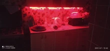 Tape Ribbon Led-Lights Light-2-30m Christmas Rgb Smd5050 Bluetooth Waterproof Flexible