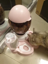 7 pocilga Gato tazón para comida de perro de tazones de alimentación 2 L perros de alimentación fuente de agua potable de 600ml Waterer gatito lento de cachorro