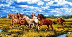 

Coupon tapestry "towards the wind" (140x70)