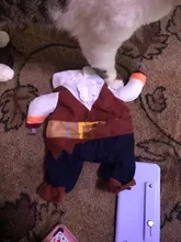 Funny Cat Costumes Pirate Suit Cat Clothes Kitty Kitten Corsair Halloween Costume Puppy