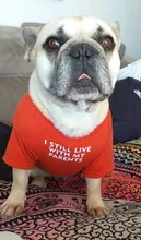Letras de moda impreso Bulldog francés Camisa de algodón elástico ropa de perro mascota para Yorkshire Chihuahua verano bombero esposa camiseta bombero novia fuego emblema bombero Don bombero Cruz de traje