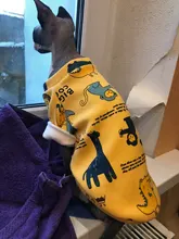 Rabbit Print Pet Cat Costume for Cats Soft Kedi Katten Sweatshirt Hoodie Spring Summer