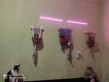 USB Phytolamps for Plants 5V LED Grow Light Strip 2835 Chip 1m 2m 3m LED Phyto Tape 