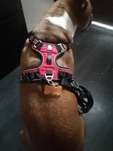 Truelove Front Nylon Dog Harness No Pull Vest Soft Adjustable Safety Harness For Dog