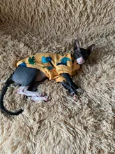 Ropa de gato para gatos, disfraz de gato de invierno, Sudadera con capucha, suéter, ropa de cachorro mascota, productos para gatos