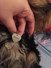 Placas de identificación personalizadas para perros y gatos, etiquetas de nombres de mascotas, antipérdida, accesorios para mascotas