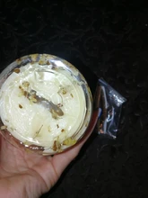 Osmantus de oro parches máscara + ojo Crema para Ojos líneas crema hidratante para los ojos removedor de círculo oscuro Anti-hinchazón