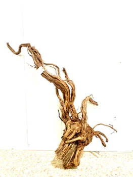 

For aquarium Root Root milenium