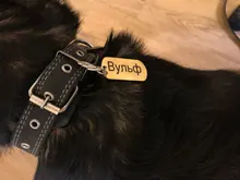 Dog-Id-Tag Address Pet-Name Free-Engraved Military Stainless-Steel Custom Personalized