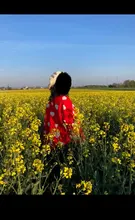 Nomikuma-suéter coreano de manga larga para mujer, Jersey de punto con corazón de amor, Tops informales, cuello redondo, b037, otoño e invierno, 2020