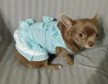 Dress Pet-Clothing Puppy-Cat-Dresses Chihuahua Princess Yorkshire Dogs Small Medium 