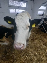 Warm Floor Temperature-Controller-Instrument Cable-Use Manual Floor-Heating-Room Electric