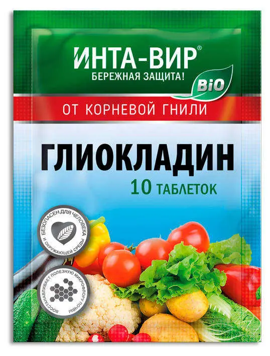 Интом отзывы. Фунгицид Глиокладин Инта вир 10 таб.. Глиокладин - 10 таб Инта-вир. Глиокладин 10 табл Интавир. Фунгицид био Глиокладин Инта-вир.