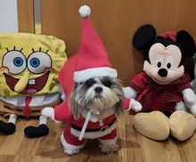 Christmas Pet Dog Cat Costumes Funny Santa Claus Costume For Dogs Cats Winter Warm Dog