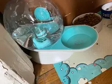 Dispensador de agua automático con forma de caracol para gatos, fuente para mascotas, tazón para beber grande, sin electricidad