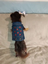 Dog-Vest Jacket Apparel Jeans Puppy Small Dogs Yorkshire Terrier Denim For Chihuahua
