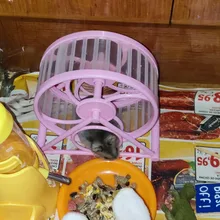 Toy Hamster Sport-Ball Gerbil Rat Pet-Rodent Rat-Exercise Small Plastic Mice Grounder