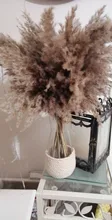 Pampas-Grass Reed Flower Wedding-Decoration Bunch Light-Color Natural Dried Christmas