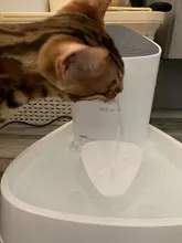 1.8L Cat Water Fountain Quiet Automatic Pet Water Dispenser For Cats Dogs Birds Electric