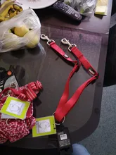 Double-Dog-Leash Truelove Training Small Dogs Nylon for No-Tangle Large