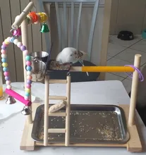 Perch-Stand Ladder Feeder Playground Bird Parrot with Wooden Platform Gym Cups Interactive-Toys