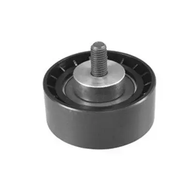 Ролик обводной Fiat Ducato 08-11 MAGNETI MARELLI 331316170055 |