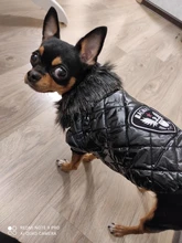 New Arrival Noble Pet Dogs Winter Vest Coat Fur Collar Russia Classic Dogs Clothing Soft