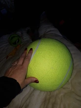 Pet-Toy Tennis-Ball Puppies Ttoys Giant Signature Jumbo 24cm Mega for Kids