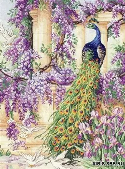 

"Embroidery kit", "floss embroidery kit", "cross stitch", "counted cross", "MAIA", "counted cross stitching"