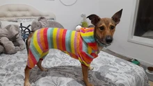 Pet Clothing Costume Outfit Pajamas Fleece Winter Apparel Small Warm 30 Four-Legs Jumpsuit